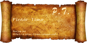 Pintér Timur névjegykártya